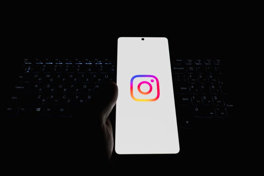 Instagram Story Viewer